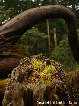 PICT0014
