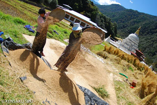 炩ȉ